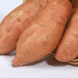 Orleans Sweet Potato Slips - 10 Plants - Orange Sweet Potatoes Vine
