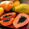 Papaya Solo Hawaiian Tropical Fruit Tree - Potted Plant - 3 to 4 ft Height