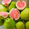 Pink Guavas Ruby Supreme Tropical Fruit Tree Delicious Dessert Variety Upright Growing