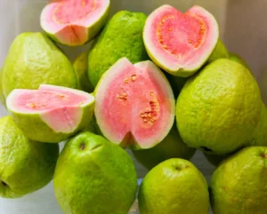 Pink Guavas Ruby Supreme Tropical Fruit Tree Delicious Dessert Variety Upright Growing