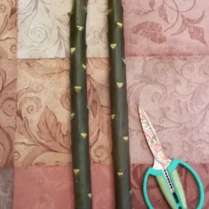 Plumeria Cutting Collection - 4 Variety Pack 15 to 20