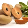 Sapodilla Alano Tropical Fruit Tree - Grafted - 3 Feet Tall - Container Ready
