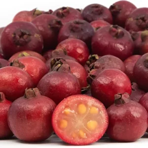 Strawberry Guava Tropical Fruit Tree - 3 to 4 ft Height - Edible Fruit