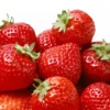 Strawberry Plants - Large Sweet June Bearing Bare Roots