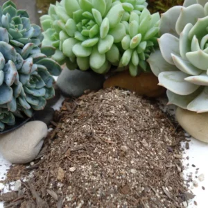 Succulent Soil Blend - 5 LB Bag - Cactus & Succulent Mix