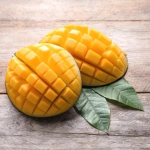Sweet Mango Tree Live Plant - Yellow Mango Tree - 8-12 Inch Outdoor Growing