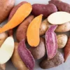Sweet Potato Mix - 10 Sweet Potato Slips Plants - Non GMO Mixed Variety