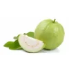 Thai Guavas Tropical Fruit Trees - Apple Green Skin - Mildly Sweet - Fast Growing Fruit Tree