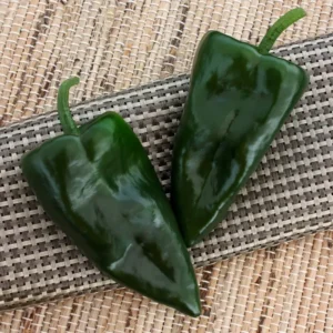 Trident Poblano Pepper Plants SET 2 - Hot Pepper Plants 4-6 Inch Tall