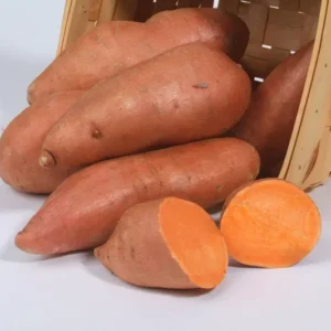 Vardaman Sweet Potato Slips 10 Plants - Orange Bush Variety - Non GMO