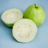 White Guavas Tropical Fruit Tree - 3 to 4 ft - White Flesh - Ships Bare Root