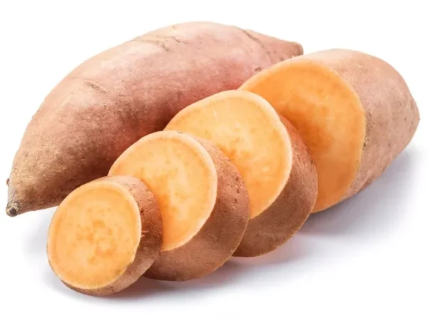 Yellow Jewel Sweet Potato Slips - 10 Plants - Sweet Potato Vine - Non GMO