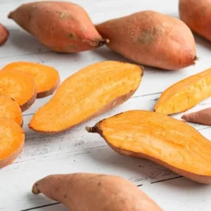 Yellow Jewel Sweet Potato Slips - 10 Plants - Sweet Potato Vine - Non GMO