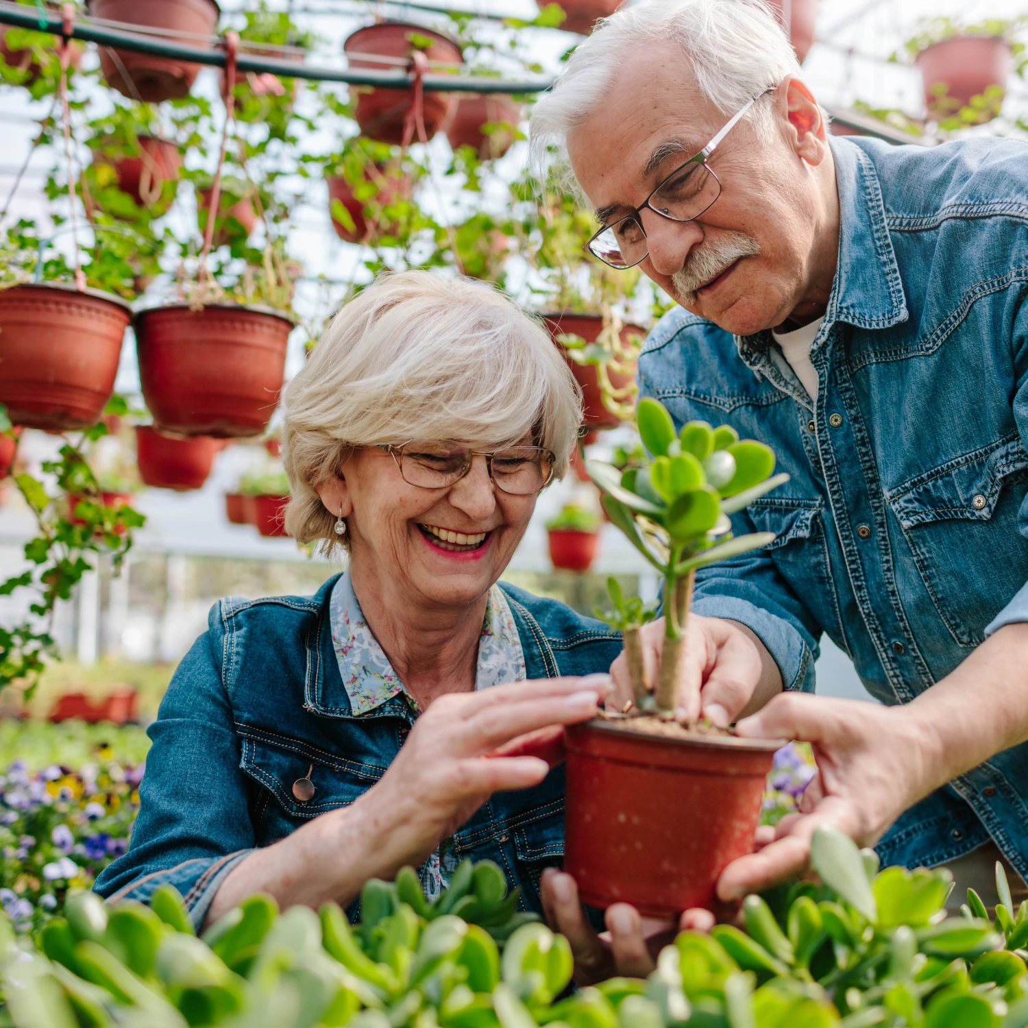 happy plant with gardeners