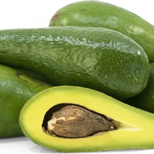 Avocado Tree Long Neck Self Pollinated - Fruit Tree - Easy Grow