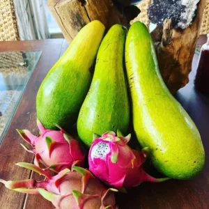 Avocado Tree Long Neck Self Pollinated - Fruit Tree - Easy Grow