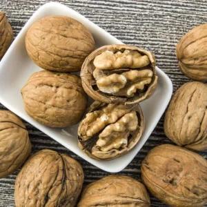 Black Walnut Tree 2-Pack Juglans Nigra - Edible Nuts - Hardwood Shade Tree - NOT SHIP AK, AZ, CA, HI