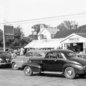 Cactus and Succulent Collection - 8 Plants - Terrarium & Fairy Garden - 2