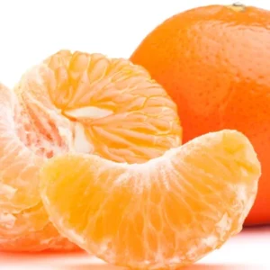 Tangerine Tree - Organic with Pot - Orange Fruit Tree