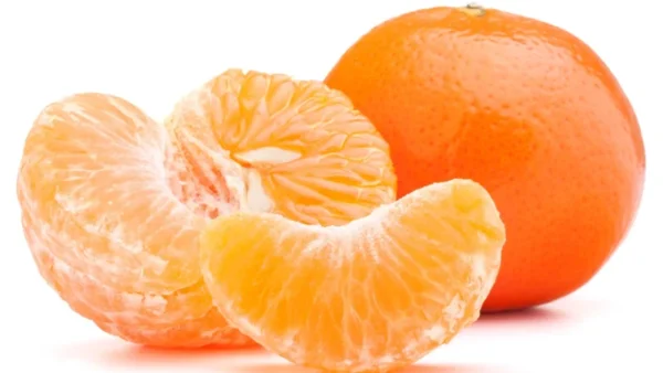 Tangerine Tree - Organic with Pot - Orange Fruit Tree