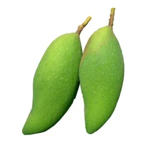 Xoai Tuong Mango Tree Grafted Fruit Tree - 1 ft Tall - 6" Pot