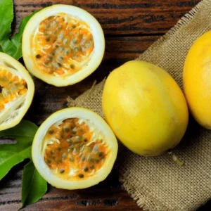 Yellow Passion Plant Live - Passiflora Edulis Flavicarpa - 4 to 6 Inch Patio and Garden Plant