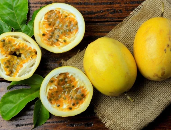 Yellow Passion Plant Live - Passiflora Edulis Flavicarpa - 4 to 6 Inch Patio and Garden Plant