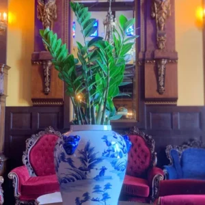 ZZ Plant 3.5 Inch Potted Houseplant - Low Maintenance Air Purifier