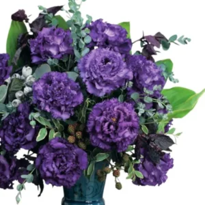 1 Lisianthus Voyage 2 Blue Plug, Live Starter Plant for Planting, Lisianthus Live Plug, Well Rooted Plug, Healthy Starter Plug, 1