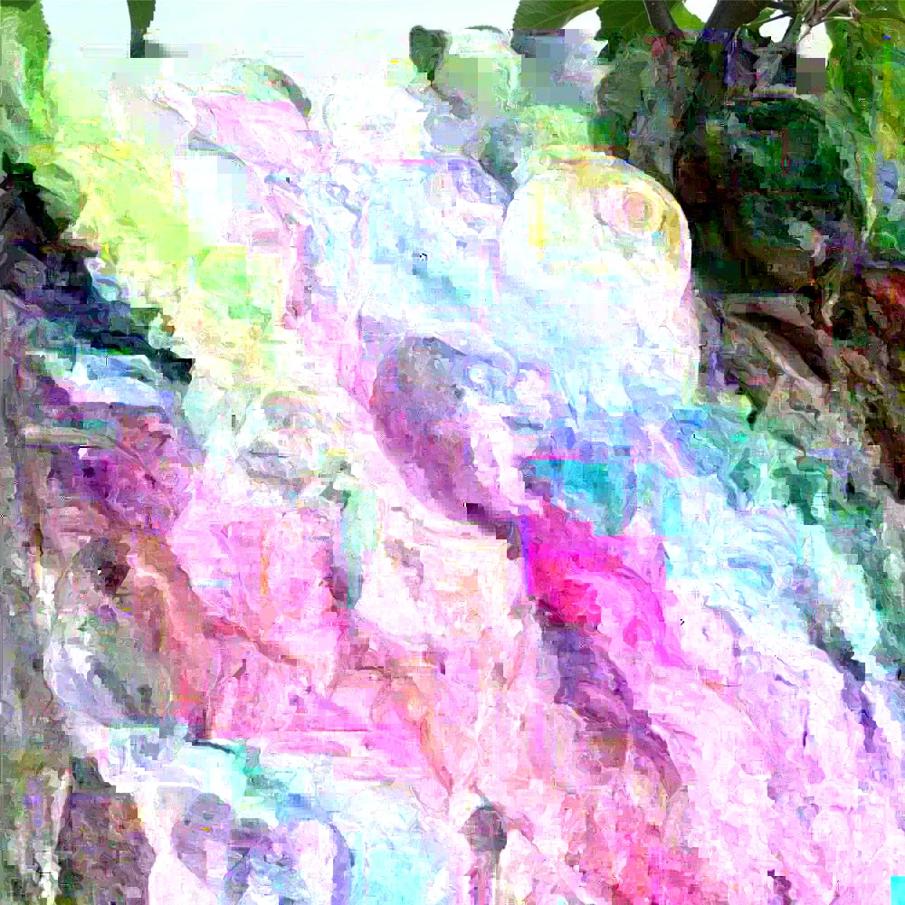 Rosette Apple Tree Live Plant - Rooted, 2.5 ft Tall, Outdoor Fruit Tree - Image 4