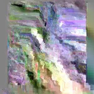 White Pine Live Plant – Pinus strobus Seedling – up to 10 Inches Tall – Outdoor Evergreen Tree - Image 1