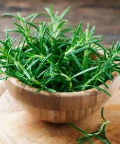 2 Rosemary Live Starter Plants - 2-3 Inch Tall, 5 Inch Pot, Indoor/Outdoor Herb - Image 5