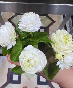 Grand Duke Jasmine Live Plant - 2-3 Ft Tall, Fragrant White Flowers, 3 Gallon Pot - Image 4