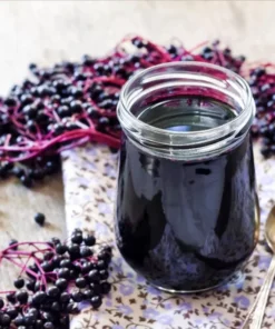 American Elderberry Live Starter Plant - 5-10 Inch Bush, 1 Gallon Pot, Outdoor - Image 4