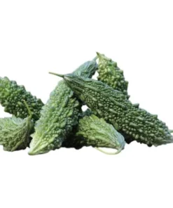 Bittermelon Live Plant - Bitter Gourd Starter for Planting, 3-5 Inch Tall Vegetable - Image 7