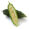 Bittermelon Live Plant - Bitter Gourd Starter for Planting, 3-5 Inch Tall Vegetable - Image 1
