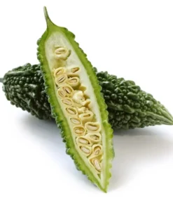 Bittermelon Live Plant - Bitter Gourd Starter for Planting, 3-5 Inch Tall Vegetable - Image 1