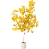 Ginkgo Live Starter Plant - 6-8 Inch Tall, 4 Inch Pot - Indoor Outdoor Tree - Image 1