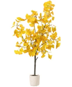 Ginkgo Live Starter Plant - 6-8 Inch Tall, 4 Inch Pot - Indoor Outdoor Tree - Image 1