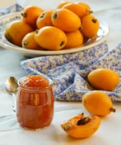 Golden Loquat Tree Live Starter Plant - 4-8 Inch Tall, 4 Inch Pot - Outdoor/Indoor - Image 7