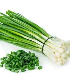 Green Onion Live Plant - 15 Bare Roots Chinese ShanDong, 4-8 Inch Tall - Image 2