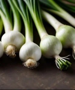 Green Onion Live Plant - 15 Bare Roots Chinese ShanDong, 4-8 Inch Tall - Image 4
