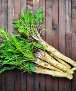 Horseradish Plant Bare Roots - Armoracia Rusticana - Pack of 2 - 4-8 Inch Tall - Image 8