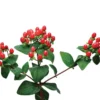 Hypericum Ruby Globo Live Plant – Starter Plug – 1-3" Tall – Outdoor Shrub - Image 1
