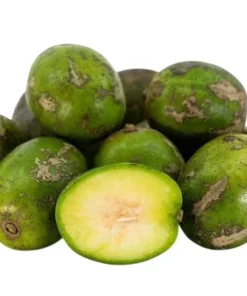 June Plum Tree Live Plant - Spondias Dulcis Tropical Fruit Tree 2-3 Ft Tall in 3 Gal Pot - Image 3