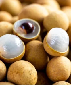 Longan Live Starter Plant - Tropical Fruit Tree Starter - 4-8 Inch Tall in 4 Inch Pot - Outdoor - Image 2