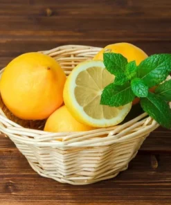 Meyer Lemon Live Plant – Fragrant Citrus Bush – Starter Plant – 2 to 3 Inch Tall - Image 4