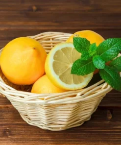 Meyer Lemon Live Plant - Sweet Citrus Tree, Well Rooted, 3-5 Inch Tall for Outdoor Garden - Image 9