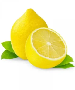 Meyer Lemon Tree Live Plant, 2-4 Ft Tall, 3 Gallon Pot, Yellow Lemons - Image 4