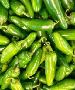 Pack of 3 Jalapeno Live Starter Plants - Green Hot Pepper for Outdoor Garden, 1-3 Inch Tall - Image 1